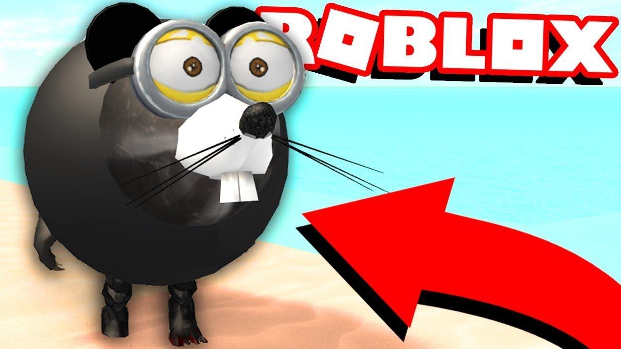 Roblox Rat Logo - NEW ROBLOX CHARACTER OPTION - YouTube