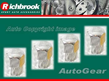 Silver R Logo - Richbrook Silver Anodised Aluminium Procaps With R Logo Car Alloy