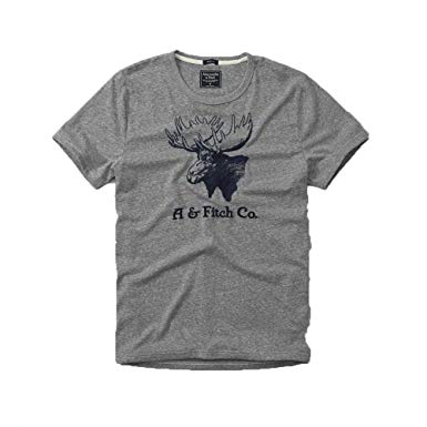 Abercrombie Clothing Logo - Abercrombie & Fitch Mens Heritage Logo Graphic T-Shirt in Grey - New ...
