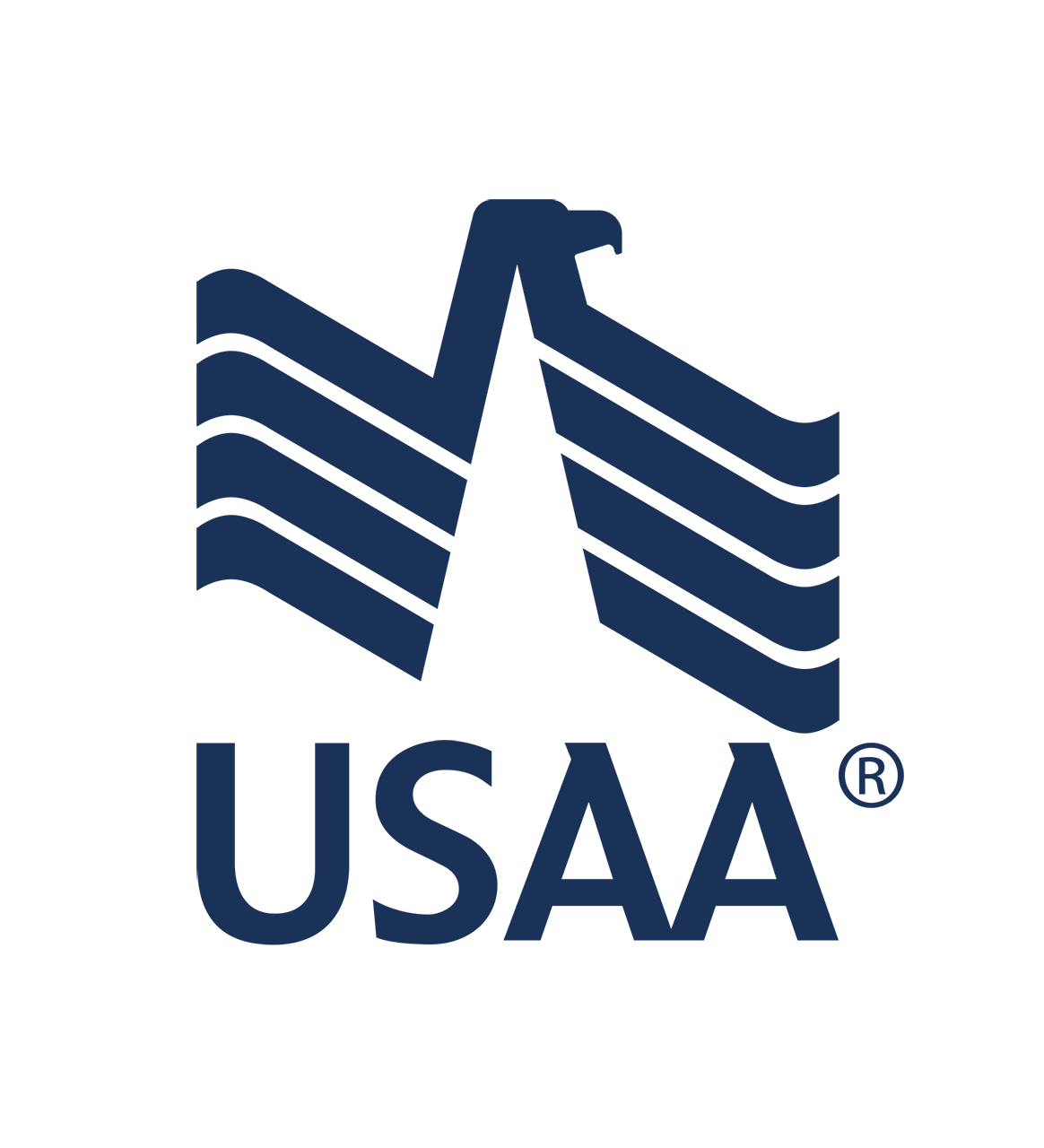 USAA Logo - usaa logo - The Witte Museum