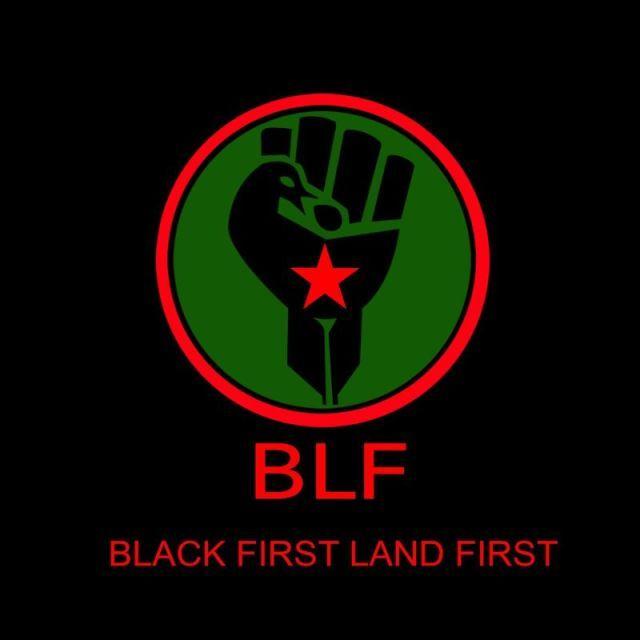 All-Black Y Logo - BLF Colours and Logo – Black First Land First (BLF)