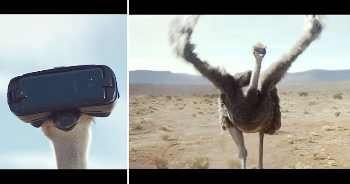 Flying Ostrich Logo - An Ostrich Learns To Fly In A New Advertisement For Samsung's ...