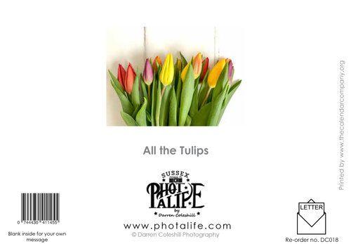 Blank Floral Logo - All the Tulips, Blank Floral Greeting Card, 7x5