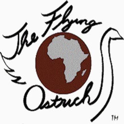 Flying Ostrich Logo - The Flying Ostrich on Etsy