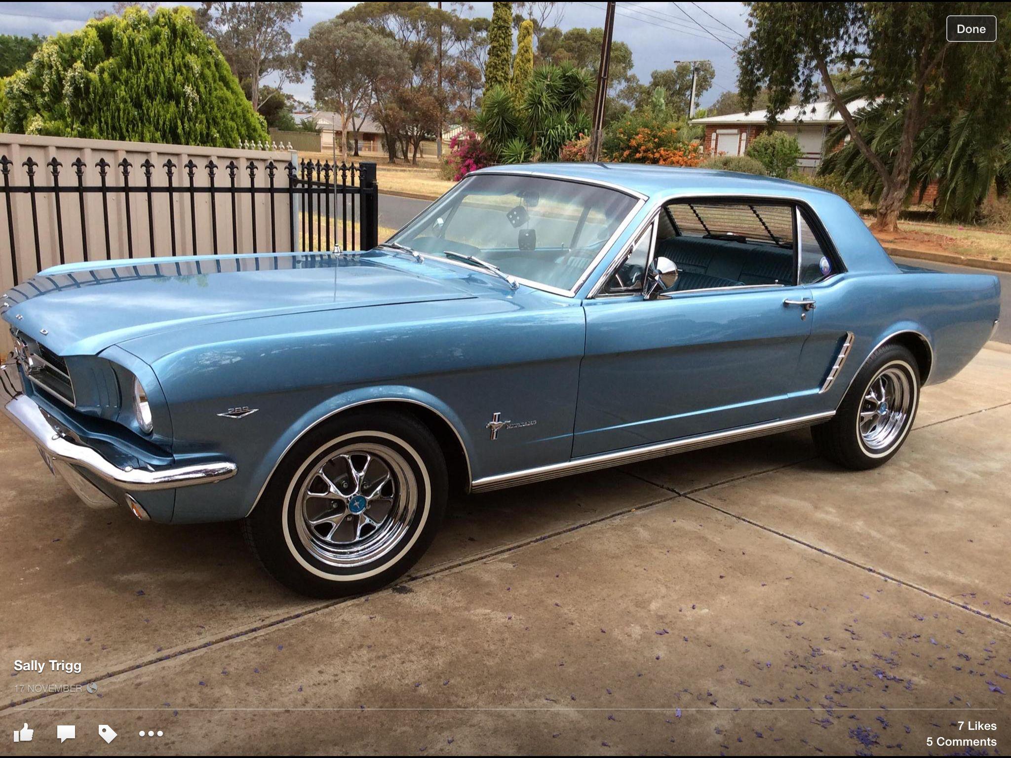 Silver Blue Car Logo - 1965 fully restored Silver Blue Mustang in Australia | Cars ...