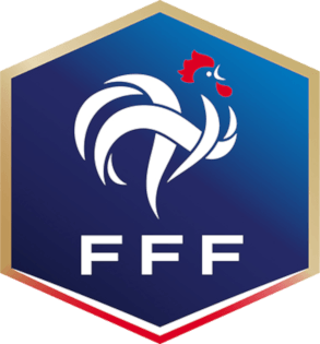 France Logo - French Football Federation