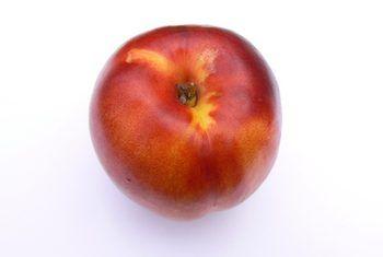 Necterine Food Logo - How Much Fiber Is in Nectarines? | Healthy Eating | SF Gate