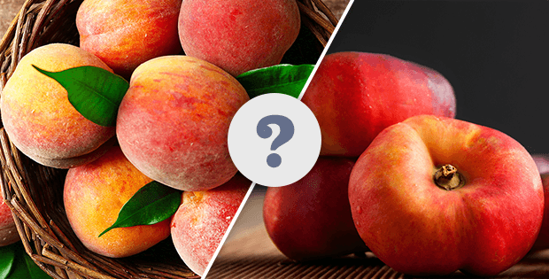 Necterine Food Logo - What Is the Difference Between Peaches and Nectarines? - Chowhound
