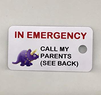 Dinosaur Office Logo - Amazon.com : Kids Emergency Contact Key Tags - Set of 3 ...
