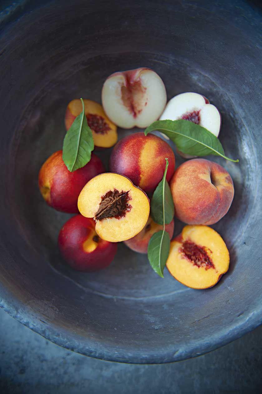Necterine Food Logo - Food and Travel Magazine | Peaches & nectarines
