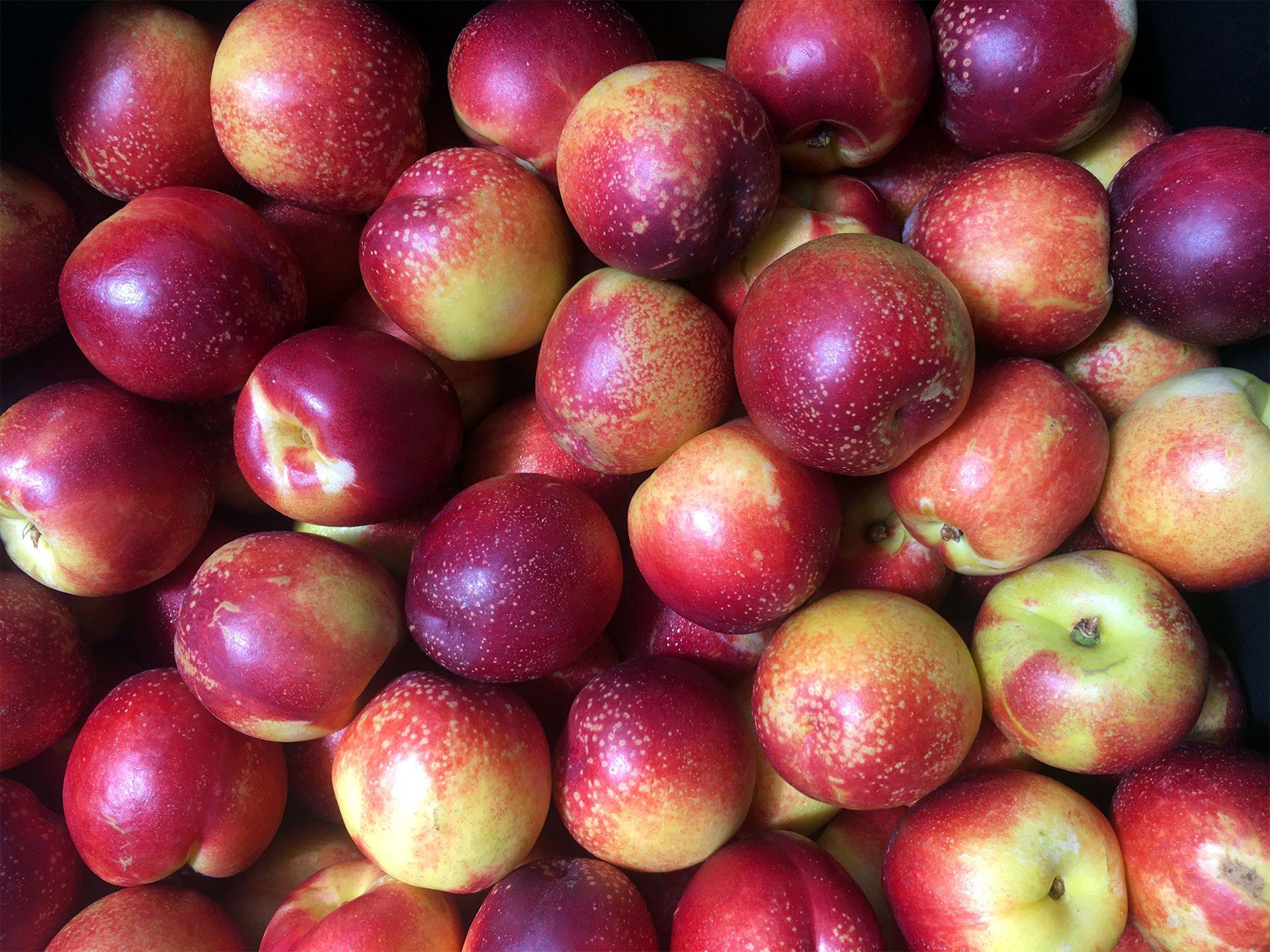 Necterine Food Logo - Rainbow Foods | A Peach by Any Other Name is…a Nectarine