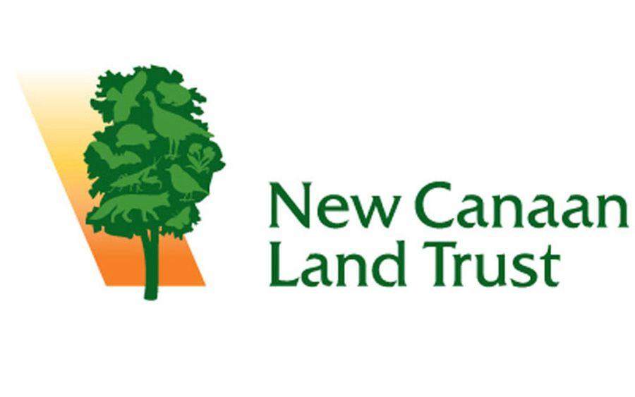Stone Bird Logo - Bird release, stone wall building, internship at Land Trust – New ...