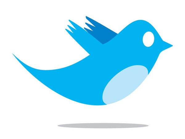 Stone Bird Logo - Biz Stone on Twitter: 
