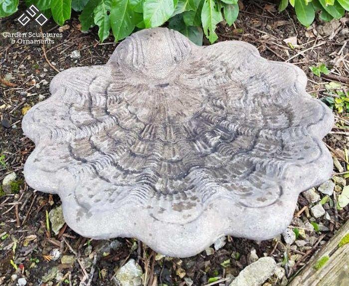 Stone Bird Logo - Large Shell Stone Bird Bath Top/Bowl - Antique White Finish | Garden ...
