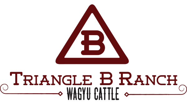 Cow Triangle Logo - Semen - Triangle B Ranch