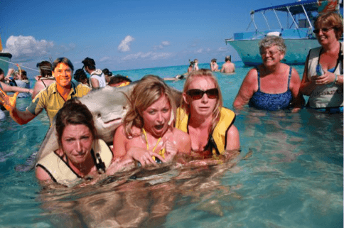 Cool Stingrays Logo - hipinion.com • View topic - cool stingray gets busy with some ladies