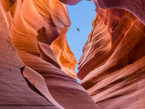 Antelope Canyons Logo - Full Day Lower Antelope Canyon & Horseshoe Bend Tour with Lake ...