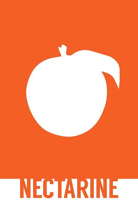 Necterine Food Logo - Nectarine Food Art Minimalist Fruit Poster Series 008 Spiral ...