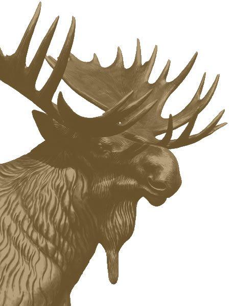 Moose International Logo - Photos & Graphics | Moose International