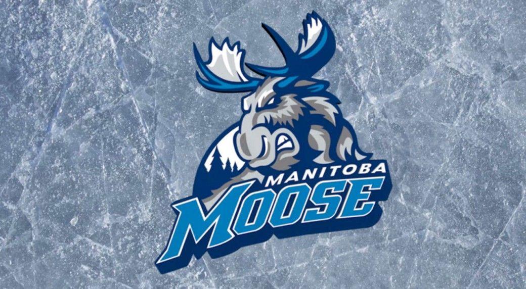 Manitoba Moose Logo - Manitoba Moose return to AHL with new look
