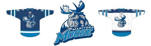 Manitoba Moose Logo - TNSE unveils Manitoba Moose as AHL franchise & announces details