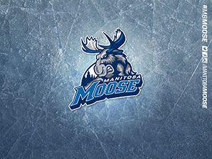 Manitoba Moose Logo - Ice Wallpaper Th