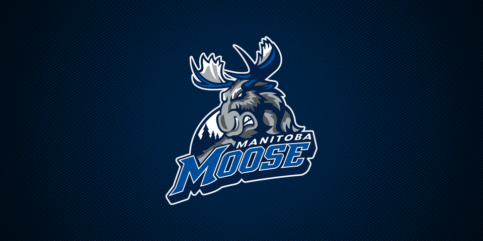 Manitoba Moose Logo - AHL back in Winnipeg with return of Manitoba Moose — icethetics.co