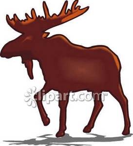Brown Moose Logo - Moose International Clipart