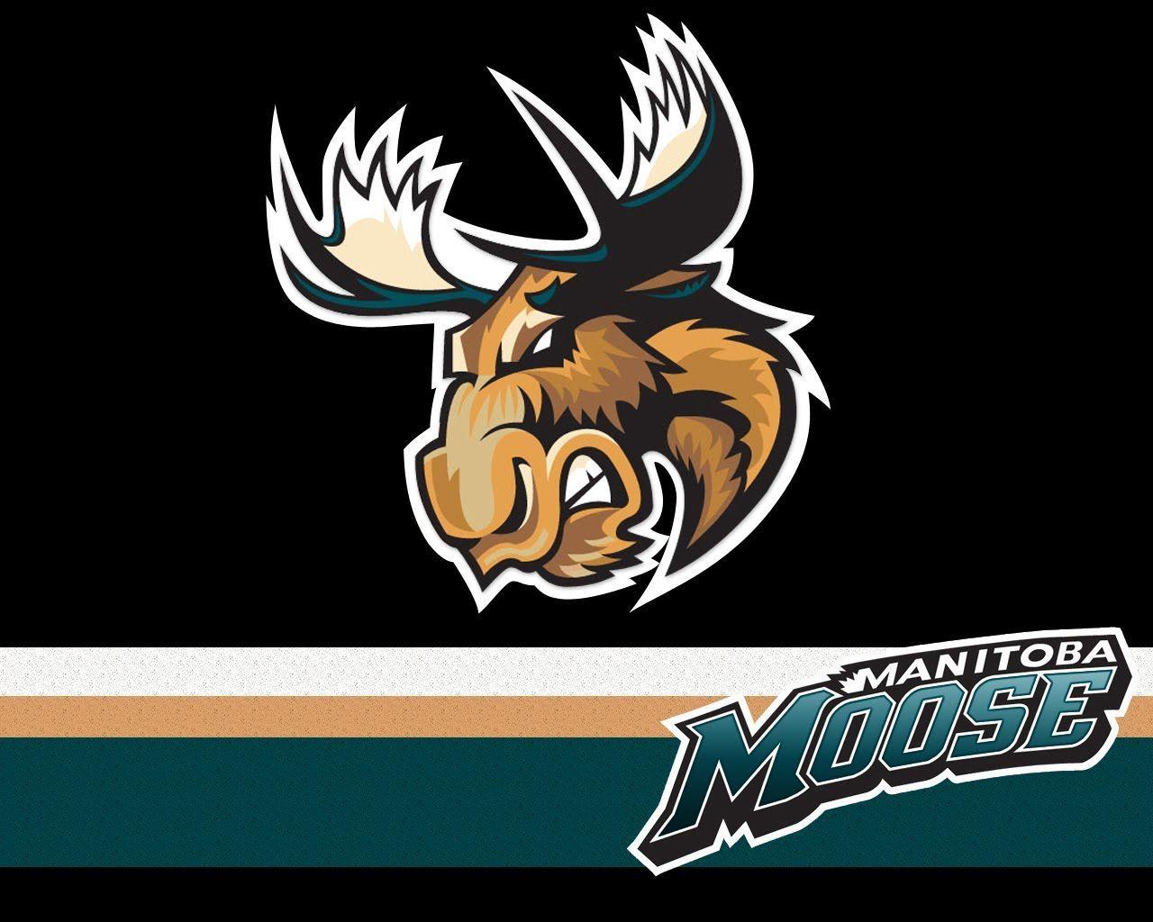 Manitoba Moose Logo - manitoba moose. Manitoba Moose Game Today. sports. Moose, Hockey