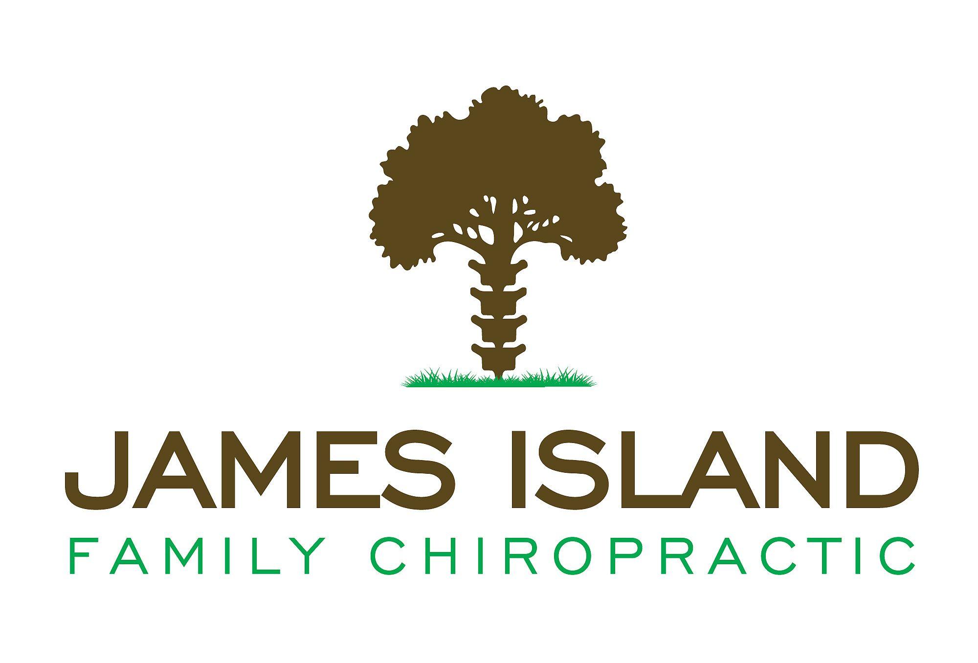 Chiropractic Logo - James Island Family Chiropractic Logo Design |