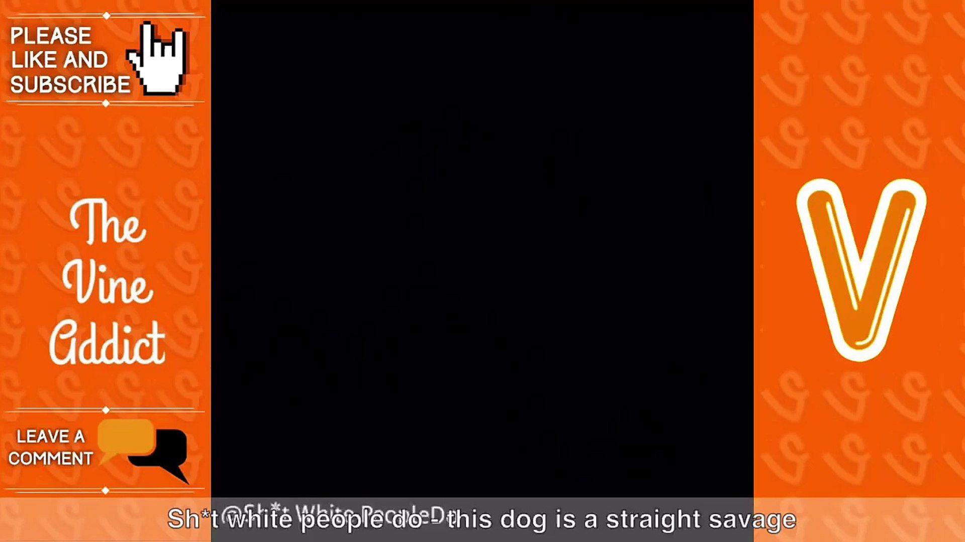 Straight Savage Logo - This dog is a straight savage - Dailymotion Video