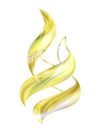 Gold Flame Logo - Gold Flame Logo by Garnett Simonis | Places to Visit | Places to ...