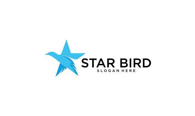 Star Bird Logo - Star bird logo design template Vector