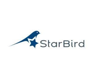Star Bird Logo - StarBird Designed