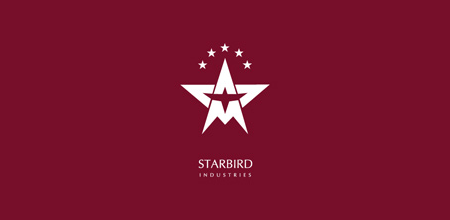 Star Bird Logo - Shining and Glowing Logo Designs Inspired by Stars - blueblots.com