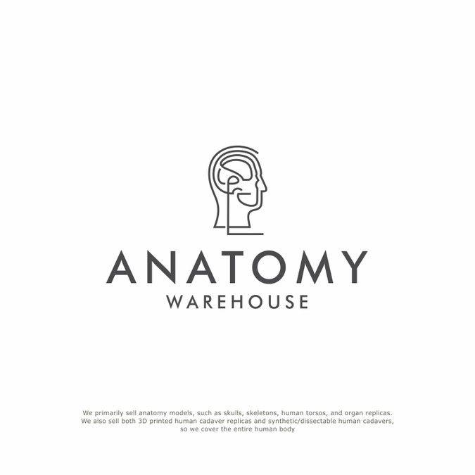 Anatomical Logo - Anatomical Model Co. Looking for Creative, Modern Yet Timeless Logo ...