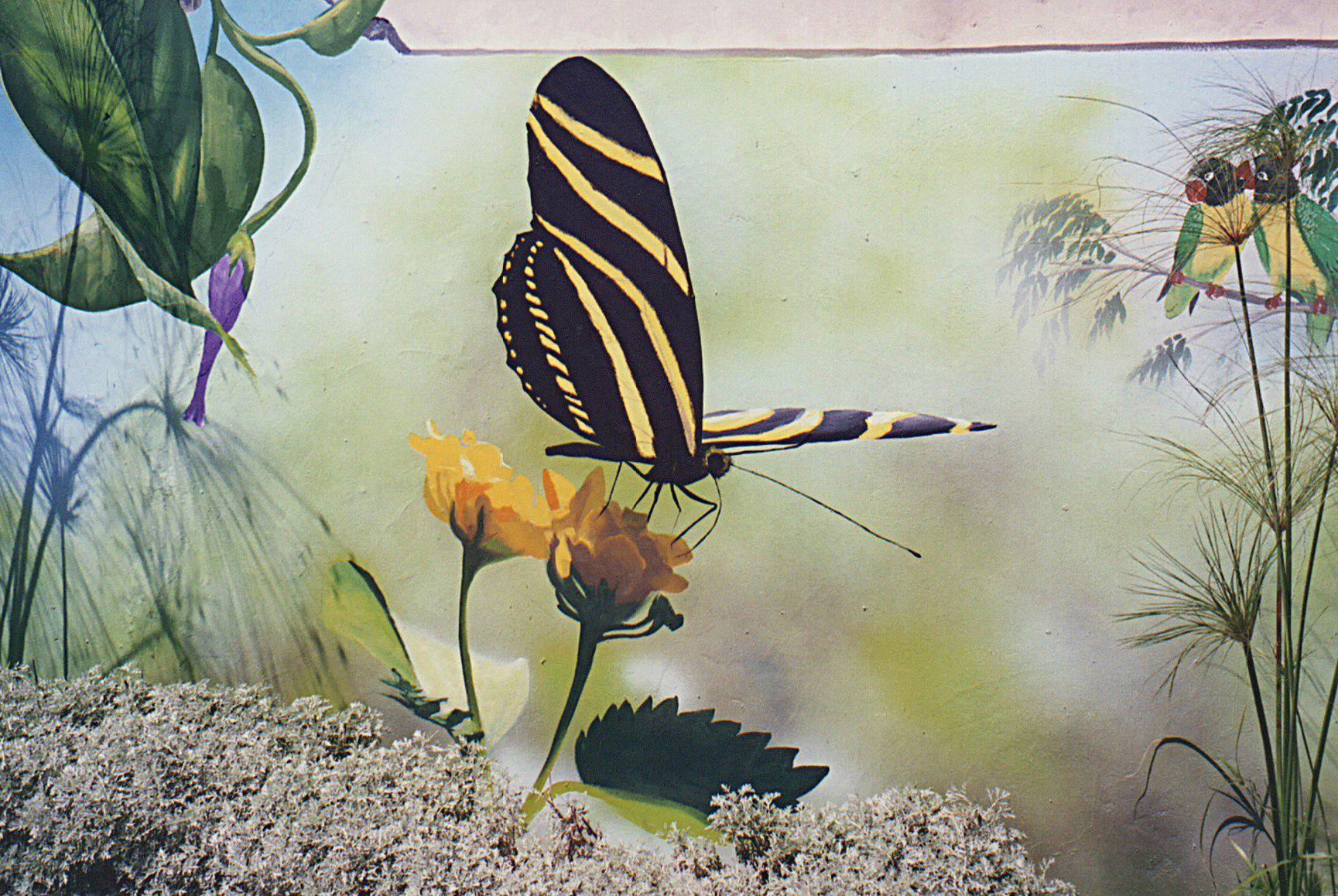 Butterfly Gas Station Logo - Gas station mural of a zebra longwing butterfly and masked lovebirds ...