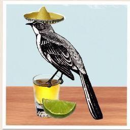 Tequila Bird Logo - Tequila Mockingbird (@tbirdultimate) | Twitter