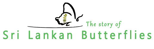Butterfly Gas Station Logo - SLButterflies