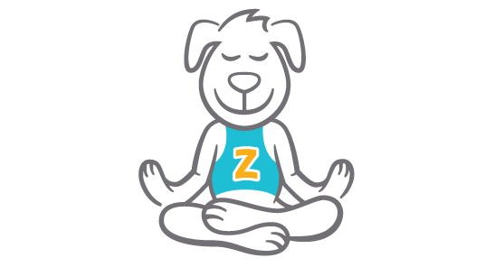 Zen Dog Logo - Home - Zen Pet USA