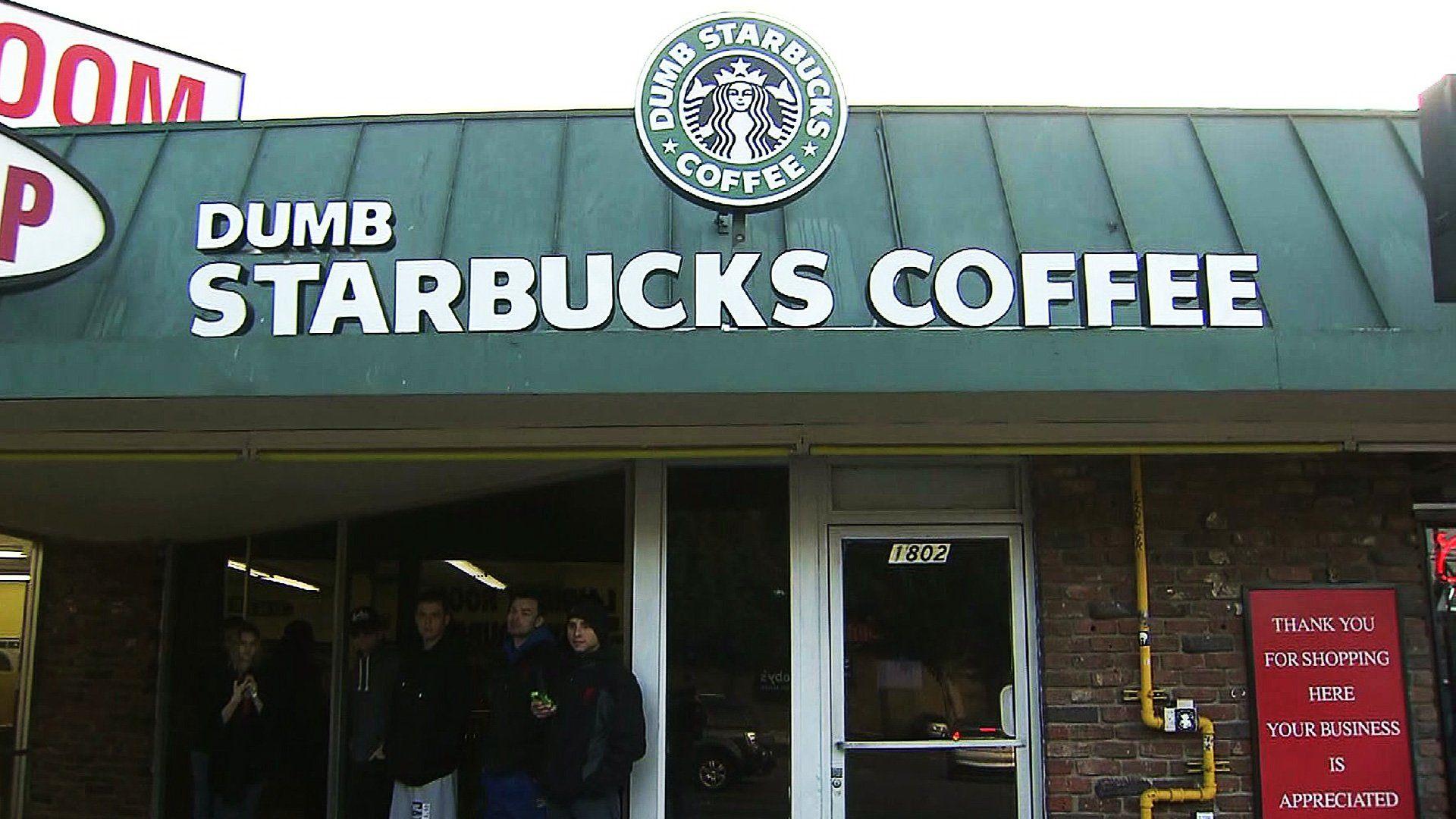 Dumb Starbucks Logo - Dumb Starbucks' shut down by LA health department; Brooklyn location