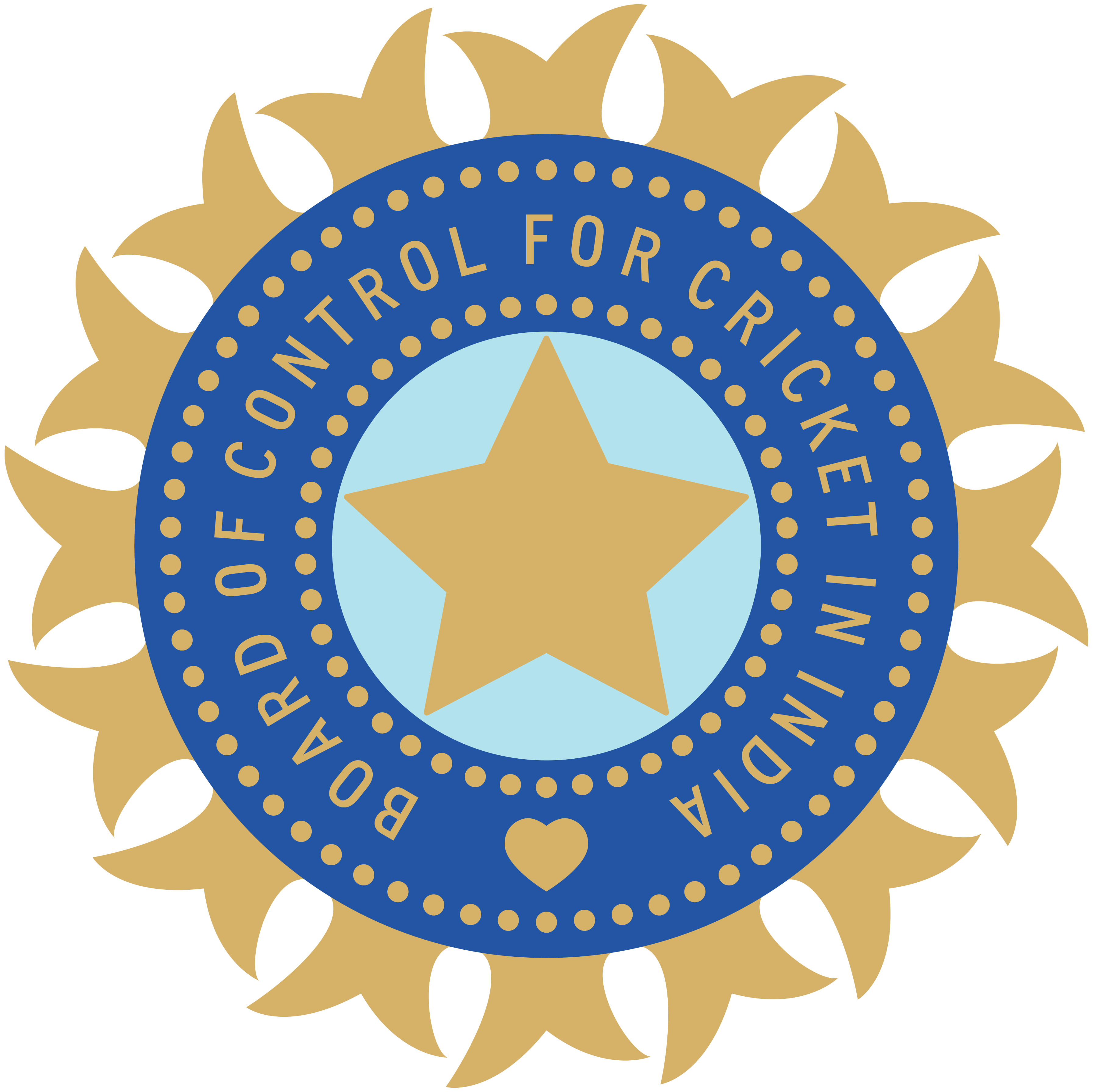 India Logo - BCCI