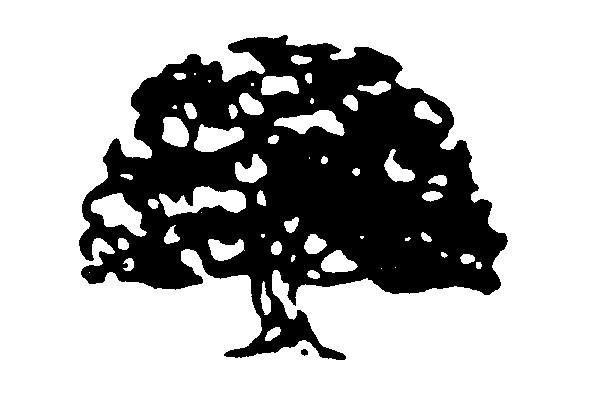 Black and White Tree Logo - Black tree in circle Logos
