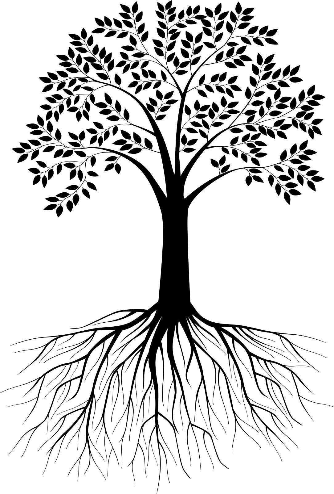 Black and White Tree Logo - Black and white tree silhouette with roots - VectorStock | Trees ...