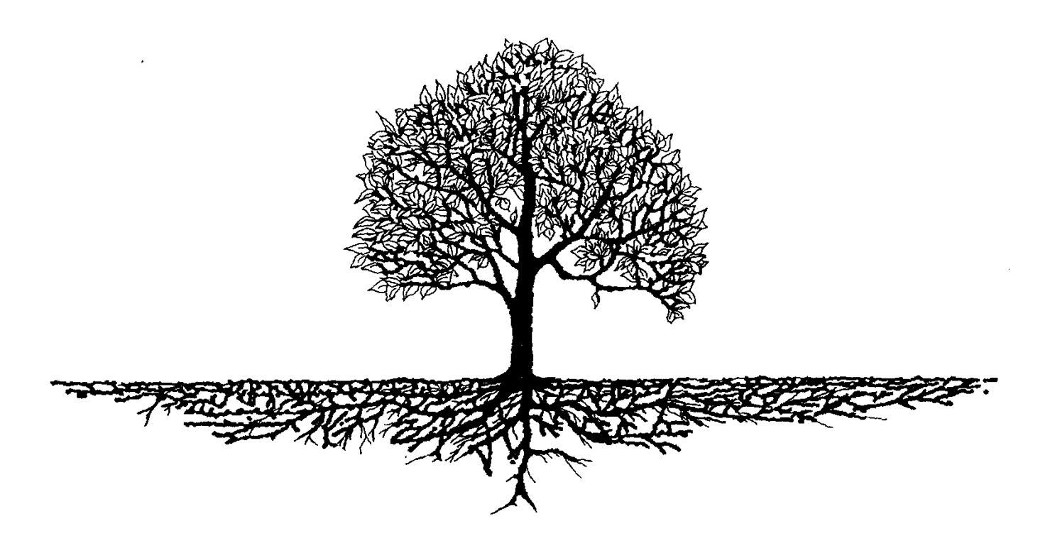 Black and White Tree Logo - Discussion: Cumbos as Lumbee - Cumbo Family Website