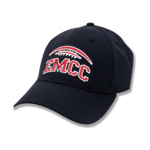 EMCC Lions Silver Lion Logo - Miscellaneous — EMCC Bookstore