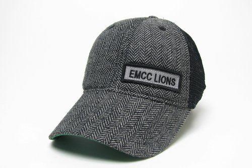EMCC Lions Silver Lion Logo - Miscellaneous — EMCC Bookstore
