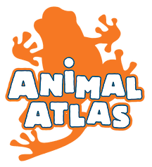 Orange Atlas Logo - Animal Atlas