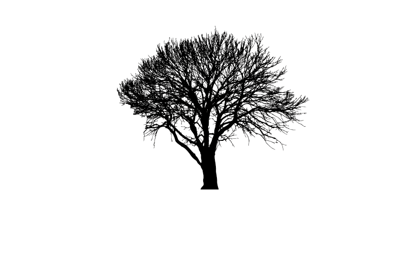 Black and White Tree Logo - Beers - Quantock Brewery