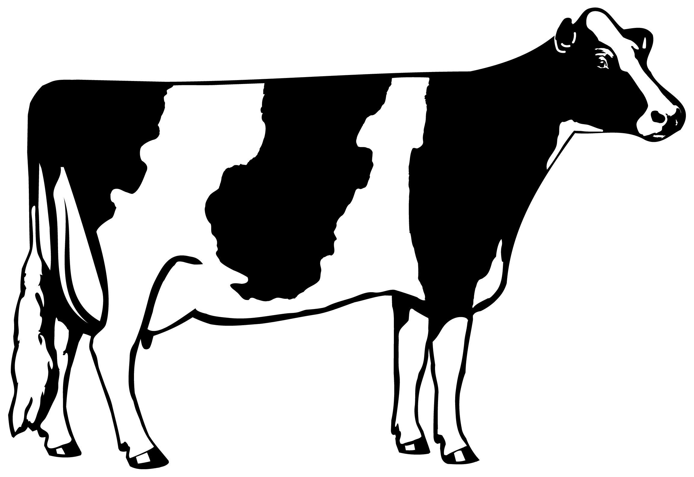 Black and White Cow Logo - Free Black And White Cow Pictures, Download Free Clip Art, Free Clip ...